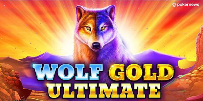 Trik Jitu Agar Menang di Slot Online Wolf Gold Ultimate